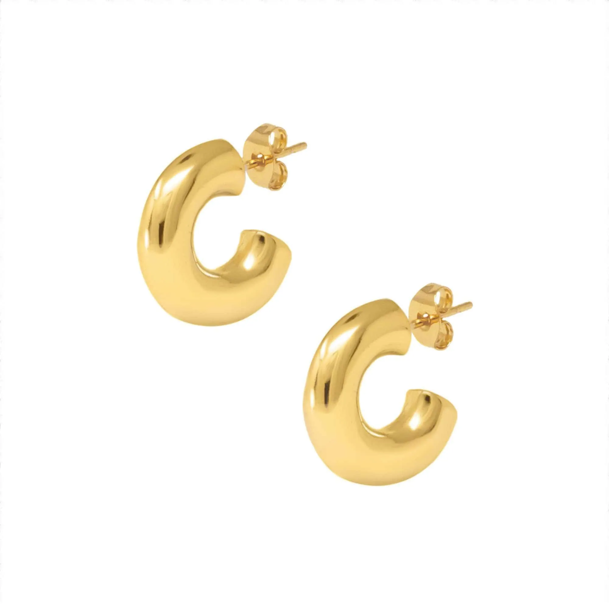 Erika Hoop Earrings